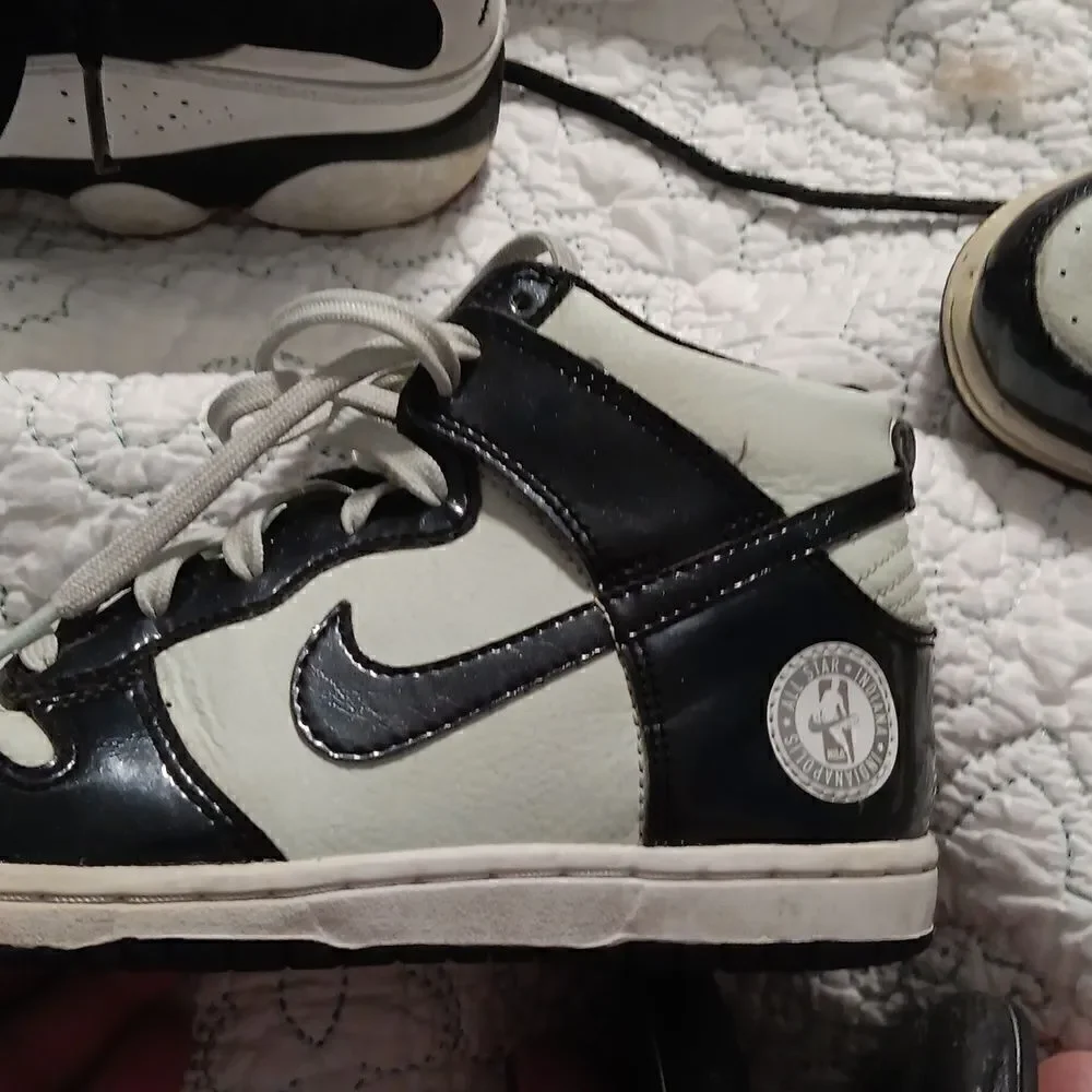 Nike dunk high